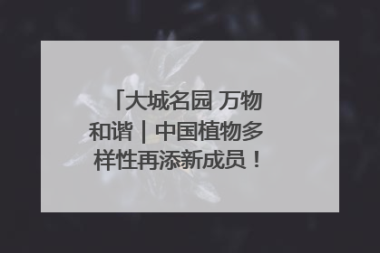 大城名园 万物和谐｜中国植物多样性再添新成员！它只在西藏墨脱